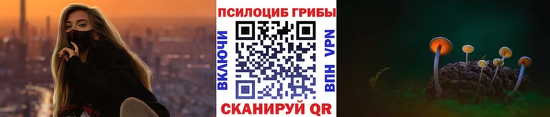 OMG ССЫЛКА  Раменское  Псилоцибиновые грибы Magic Shrooms 